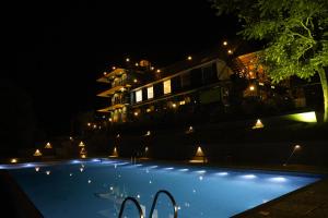 The swimming pool at or close to jungle view resort
