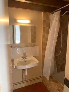 a bathroom with a sink and a shower at Le Petit Bois 46 in Leyme