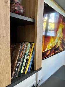 a book shelf filled with books next to a fire at Tanasković Home Zlatibor in Zlatibor