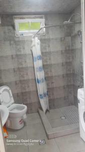 a bathroom with a shower and a toilet and a window at Gomi Riverside in Gomi