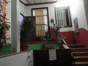 a room with potted plants and stairs in a building at Central Station Hostel Barcelona in Barcelona