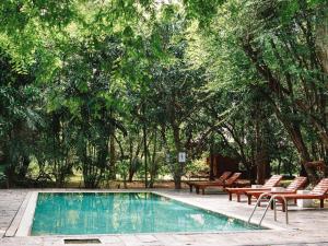 a swimming pool with chairs and a table and trees at The Other Corner Habarana in Habarana