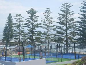 a tennis court with pine trees in the background at Blue Whale Lodge in Mossel Bay