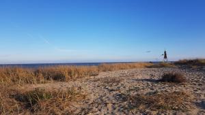 una spiaggia con mulino a vento in lontananza di Residenz Trafalgar - Ferien-Apartments a Cuxhaven