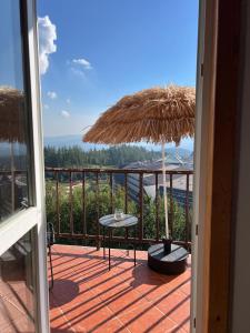 Naturlandskabet i nærheden af lejligheden