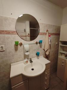 a bathroom with a sink and a mirror at Penzion Pánek in Strážné +17 photos