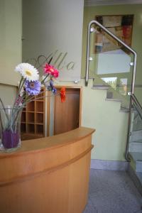 Vestibiulis arba registratūra apgyvendinimo įstaigoje Hotel Alba