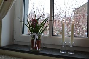 Fotografie z fotogalerie ubytování Gîte La Clef des Champs v destinaci Libin