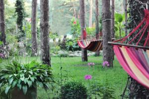 two hammocks hanging from trees in a garden at Vila Dunavski Raj in Golubac