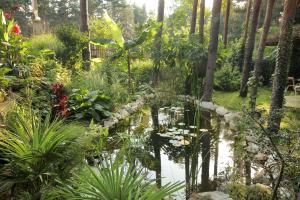 a garden with a pond and trees and plants at Vila Dunavski Raj in Golubac