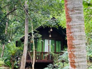 Zahrada ubytování Coconut Tree House