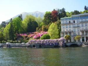a view of a lake with a building and flowers at Casa Azzurra in Menaggio