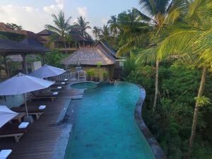 Bazén v ubytování Wapa di Ume Ubud nebo v jeho okolí + 37 fotografií