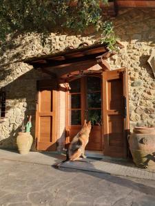 Gallery image of Cerbaiolina di Sotto in Volterra