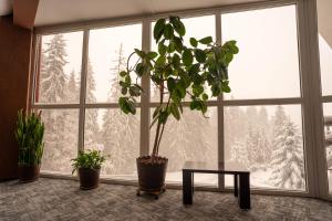 Fotografie z fotogalerie ubytování Villa Select v destinaci Predeal