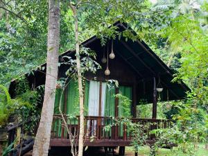 Zahrada ubytování Coconut Tree House