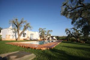 a swimming pool in the yard of a house at Trullo Arthas in San Vito dei Normanni