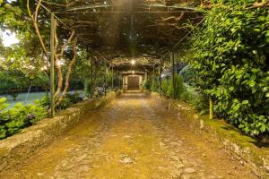 una passerella attraverso una serra con piante di Carreços Beach Farm a Viana do Castelo