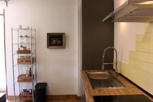 a kitchen with a sink and a shelf at Casa do Paço in Paredes de Coura +40 photos
