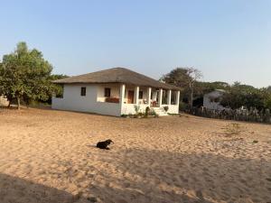 Nuotrauka iš apgyvendinimo įstaigos Chez Diop sur la mer mieste Kafountine galerijos