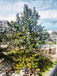 a tree with yellow flowers in a city at Holiday Spot in Portimão