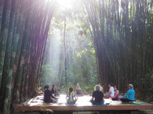 Foto da galeria de Macaw Lodge em Carara