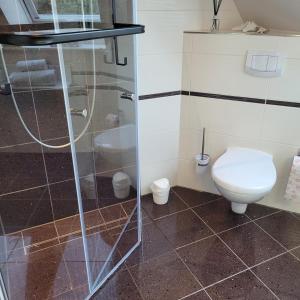 a bathroom with a toilet and a glass shower stall at Ferienwohnung Herzmuschel in Aventoft +29 photos
