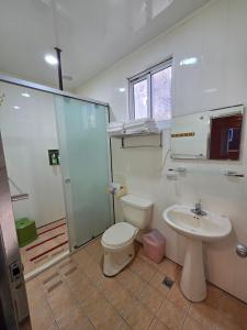 un bagno con un water e un lavandino di Nanzhuang Haoshanhaishui B&B a Hung-mao-kuan