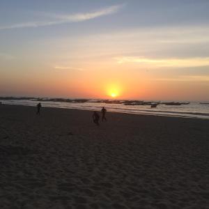 Nuotrauka iš apgyvendinimo įstaigos Chez Diop sur la mer mieste Kafountine galerijos