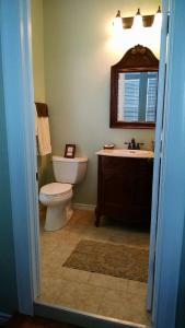 a bathroom with a toilet and a sink at Sandstone Street Bed and Breakfast in Llano