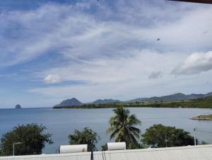 Φωτογραφία από το άλμπουμ του La belle Martinique σε Sainte-Luce