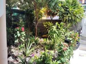 Φωτογραφία από το άλμπουμ του La belle Martinique σε Sainte-Luce +50 φωτογραφίες