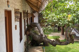 Vila Mani Atins Casa com Piscina外面的花园