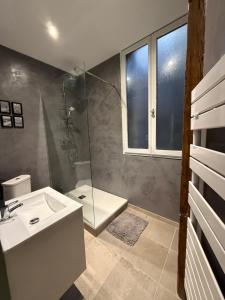 a bathroom with a shower and a sink and a toilet at Le Commerce-Gare-Centre-Ville in Montbéliard