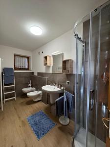 un bagno con wc, lavandino e doccia di Villa Rosa a Vigo di Fassa