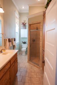 a bathroom with a shower and a toilet and a sink at Sandstone Street Bed and Breakfast in Llano