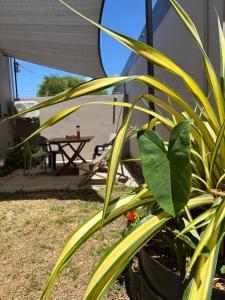 Zahrada ubytování Appartement «Le Ti songe»