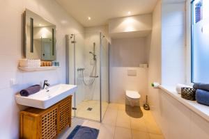 a bathroom with a shower and a sink and a toilet at Apartmenthaus Pastner am Teich in Übelbach +38 photos