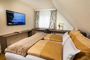 a bedroom with a bed and a flat screen tv at Apartmenthaus Pastner am Teich in Übelbach