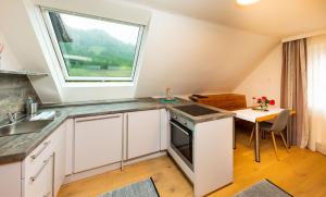 a kitchen with a sink and a window at Apartmenthaus Pastner am Teich in Übelbach