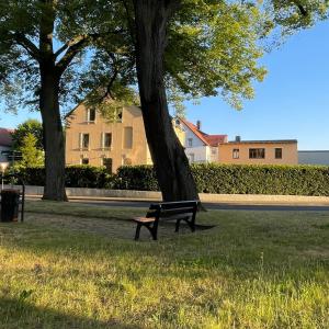 Ein Garten an der Unterkunft CASALOTTI Ferienwohnung Königsbrück