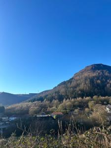 a view of a hill with trees on it at Valley View Tynewydd in Treherbert
