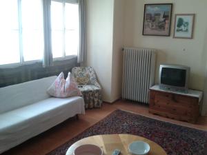 ein Wohnzimmer mit einem Sofa, einem TV und einem Stuhl in der Unterkunft Apartment Ulli in Zell am See