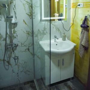 a bathroom with a sink and a glass shower at Vila Kraljica Planina in Šavnik +28 photos