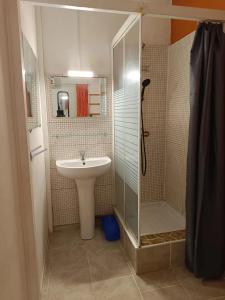 Koupelna v ubytování Studio confortable à Schoelcher - 16 m² - Jardin privé