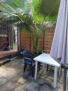 Αίθριο ή υπαίθριος χώρος στο Studio confortable à Schoelcher - 16 m² - Jardin privé