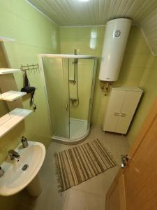 ein Badezimmer mit Dusche und Waschbecken in der Unterkunft Best View Kolasin in Kolašin