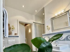 ein Badezimmer mit einem Waschbecken, einem Spiegel und einer Pflanze in der Unterkunft FeWo Harleglück - Carolinensiel in Wittmund + 33 Fotos