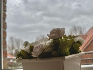 ein Topf mit Blumen auf einem Fensterbrett in der Unterkunft FeWo Harleglück - Carolinensiel in Wittmund