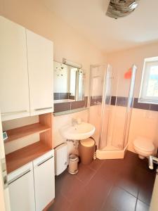 a bathroom with a sink and a toilet at Natur und Meer in Graal-Müritz